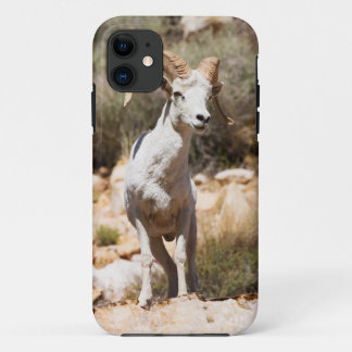White Sheep Of The Family Case-Mate iPhone Case