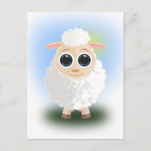 White Sheep Postcard