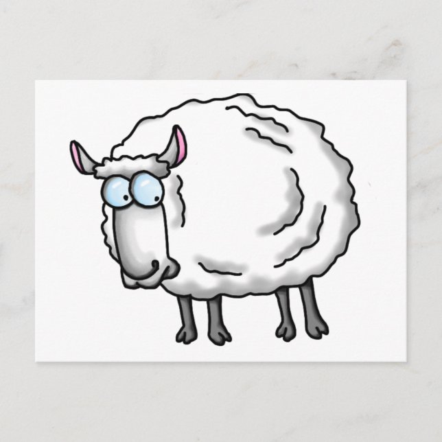 White sheep postcard (Front)