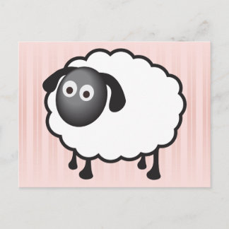 White Sheep Postcard
