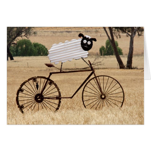 White Sheep Thrills (Front Horizontal)