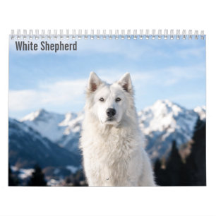 White Shepherd 2027 Calendar