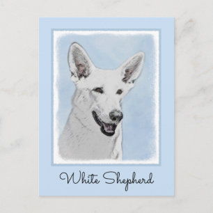White Shepherd Painting - Cute Original Dog Art Postcard
