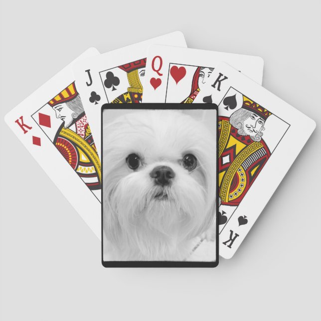 White Shih Tzu Playing Cards (Back)