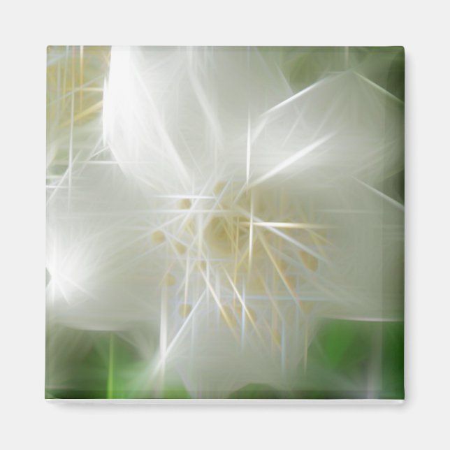 White Shiny Jasmine Magnet (Front)