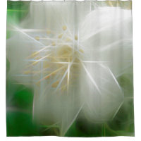 White Shiny Jasmine