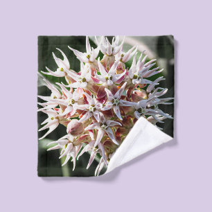 White Showy Milkweed, Flower Photography Wash Cloth