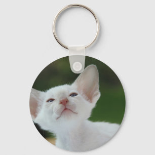 White Siamese kitten Key Ring