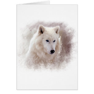 WHITE SIBERIAN HUSKY.