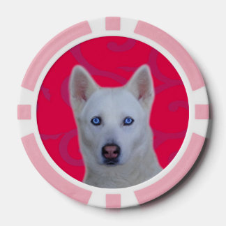 White Siberian Husky Clay Poker Chips, Pink Stripe Poker Chips