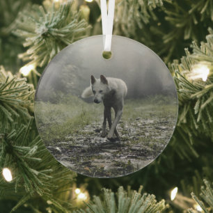 White Siberian Husky Glass Tree Decoration