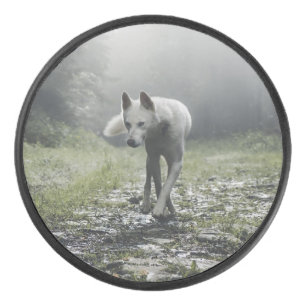 White Siberian Husky Hockey Puck