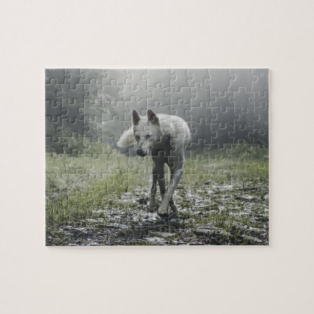 White Siberian Husky Jigsaw Puzzle (Horizontal)