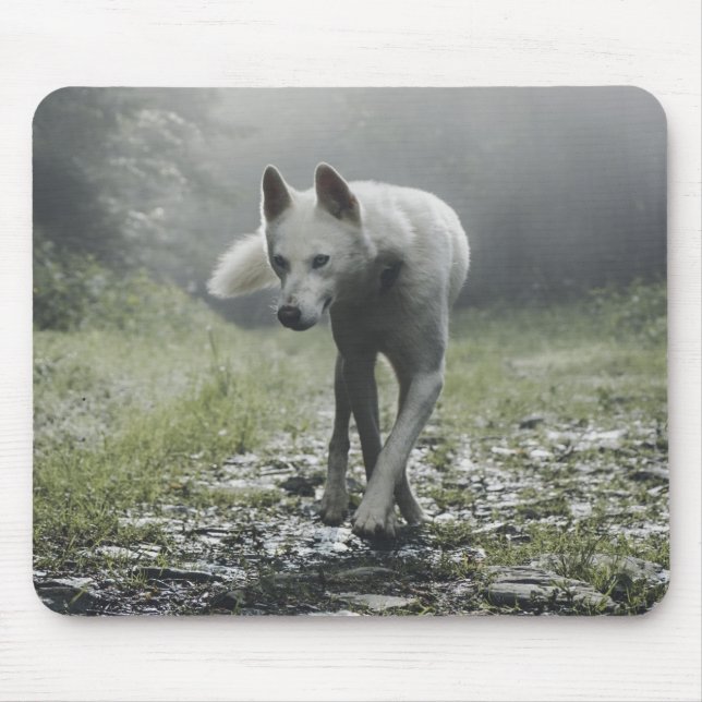 White Siberian Husky Mouse Pad (Front)