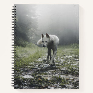 White Siberian Husky Notebook