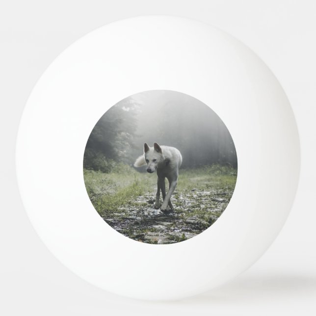 White Siberian Husky Ping Pong Ball (Front)