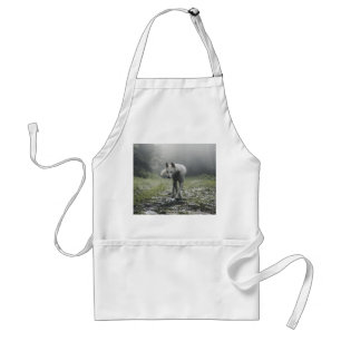 White Siberian Husky Standard Apron