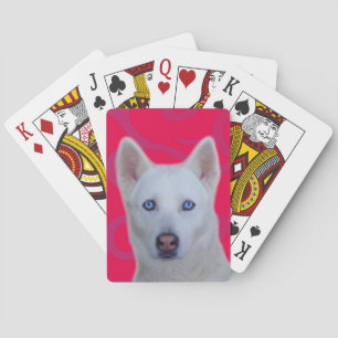 White Siberian Husky Standard Playing Cards