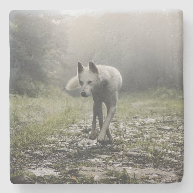 White Siberian Husky Stone Coaster (Front)