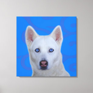 White Siberian Husky Wrapped Canvas