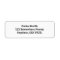 White Simple Plain Return Address Labels