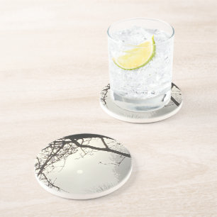 White Sky And Sun Dramatically Framed By Trees Coaster