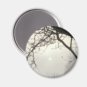 White Sky And Sun Dramatically Framed By Trees Magnet