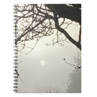 White Sky And Sun Dramatically Framed By Trees Notebook