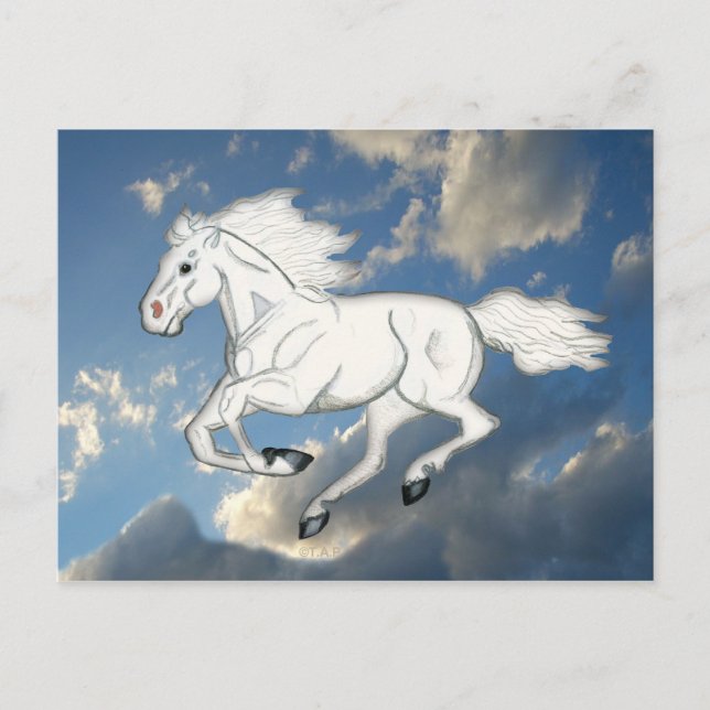 White Sky Horse Postcard (Front)