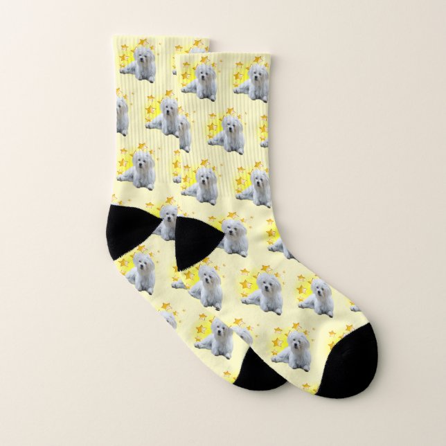 White Small Maltese Dog is a Star  Socks (Pair)