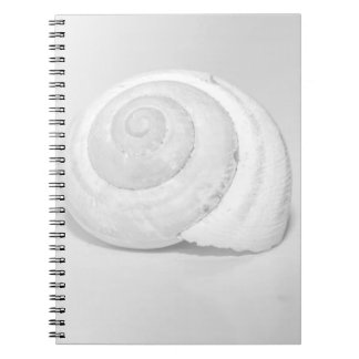 White Snail Shell Minimalist Nature Photography Notebook