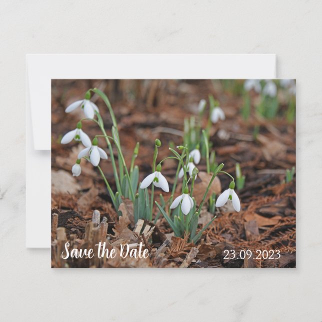 White Snow Drop Celebration Save the Date Holiday Card (Front)