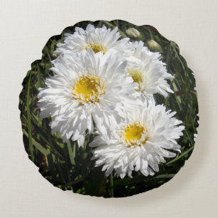 White Snow Flake Daisies, Round Cushion