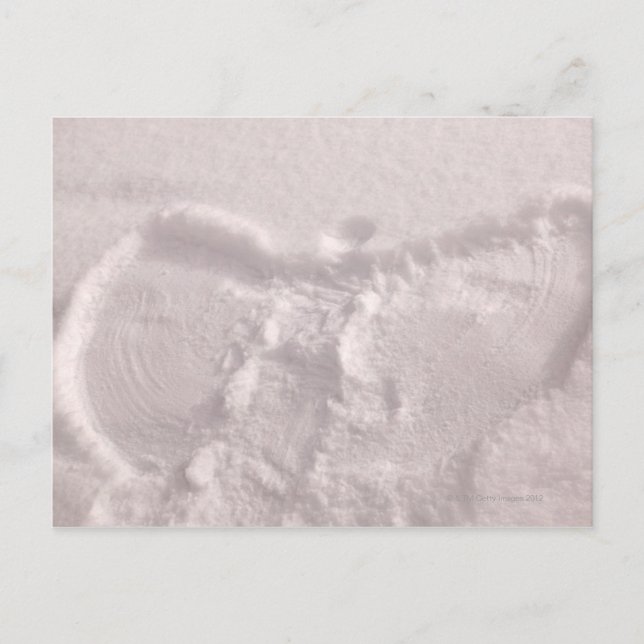 White snow imprinted with a snow angel postcard (Front)