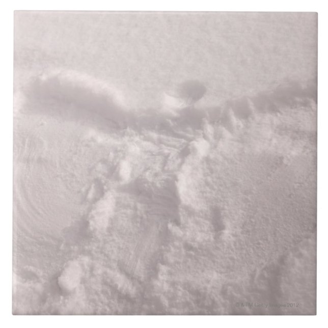 White snow imprinted with a snow angel tile (Front)