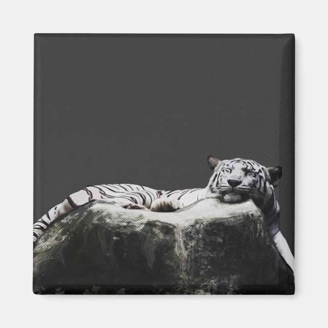 White snow Tiger - Big Cat sleeping Magnet (Front)