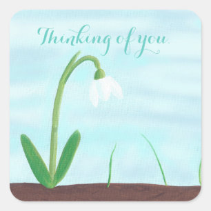 White Snowdrop Flower Thinking of you Stickers