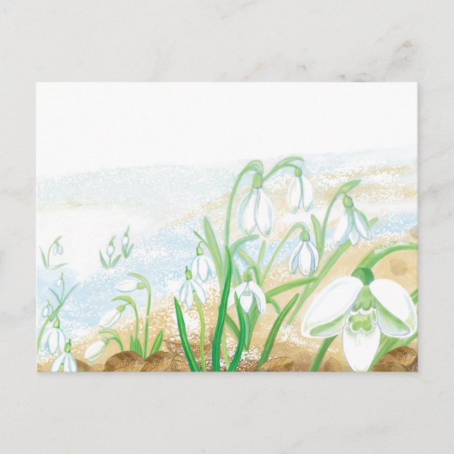 White Snowdrops Illustration  Postcard (Front)