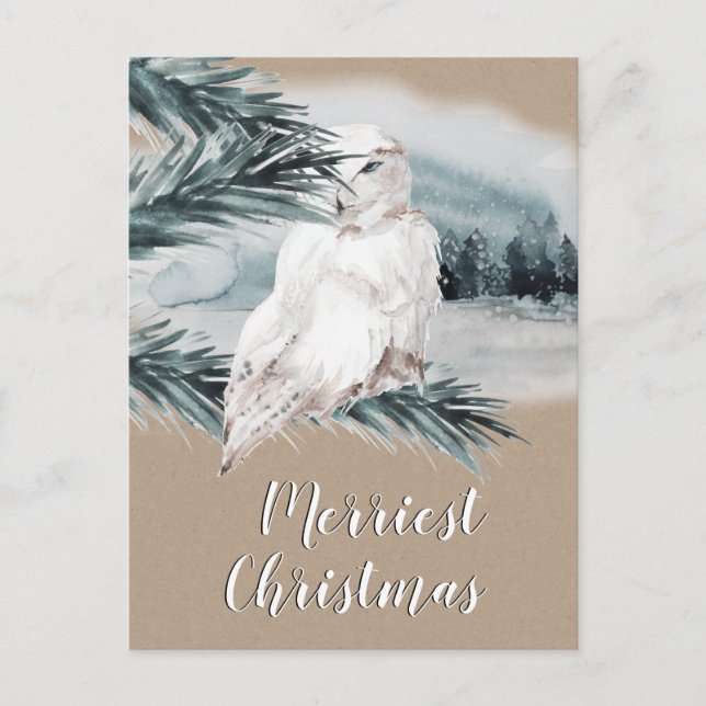 White Snowy Owl Blue Spruce Branch Woodland Scene Postcard (Front)