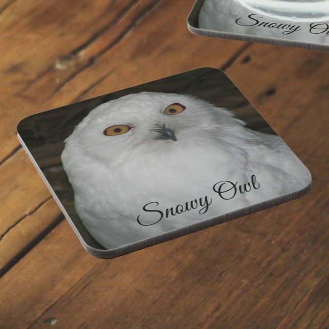 White Snowy Owl Nature Photo Coaster (In Situ Angled)