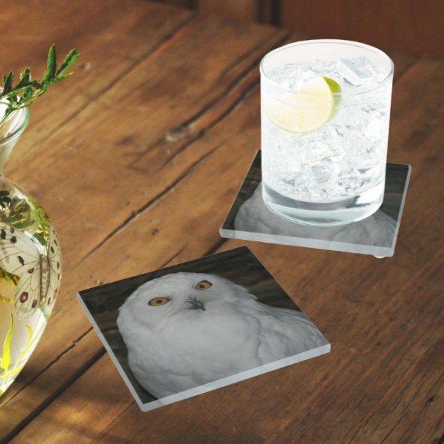 White Snowy Owl Nature Photo Glass Coaster (Glass)