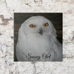 White Snowy Owl Nature Photo Tile<br><div class="desc">For owl fans! Ceramic tile featuring the photo image of a Snowy Owl with yellow eyes. Select your tile size. Makes a great kitchen trivet!</div>