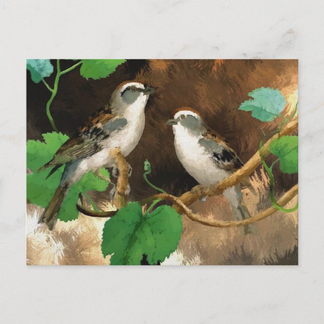 White Songbirds Postcard (Front)