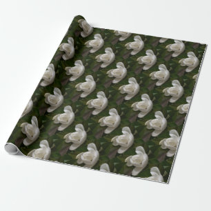 white southern magnolia flower bud wrapping paper
