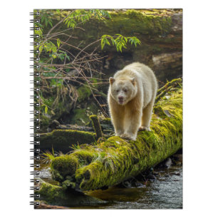 White Spirit Bear   British Columbia, Canada Notebook