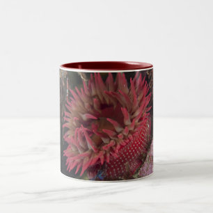 White-spotted Rose Anemone Two-Tone Coffee Mug