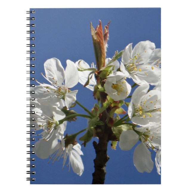 White Spring Bloom Notebook (Front)
