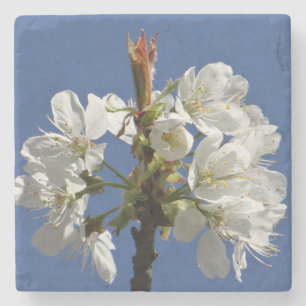 White Spring Bloom Stone Coaster