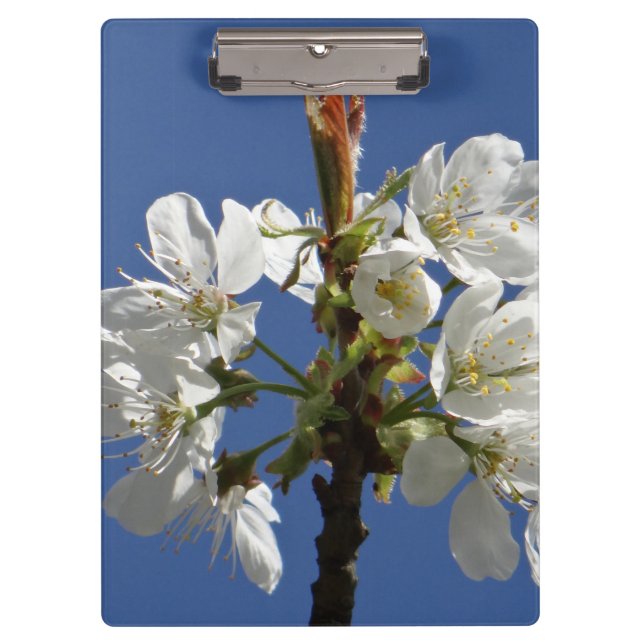 White Spring Blossom Clipboard (Front)