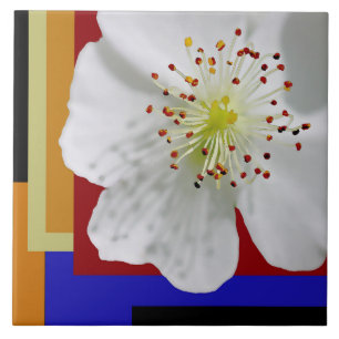 White Spring Blossom Fine Art Colourful Geometric  Tile